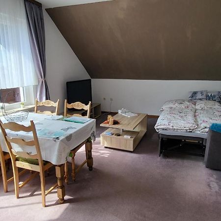 Haus Rehblick 2, Wg 4 Daire Sankt Andreasberg Dış mekan fotoğraf